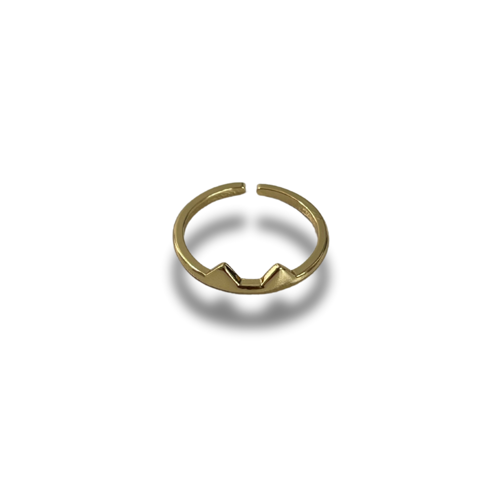 ANILLO GATO
