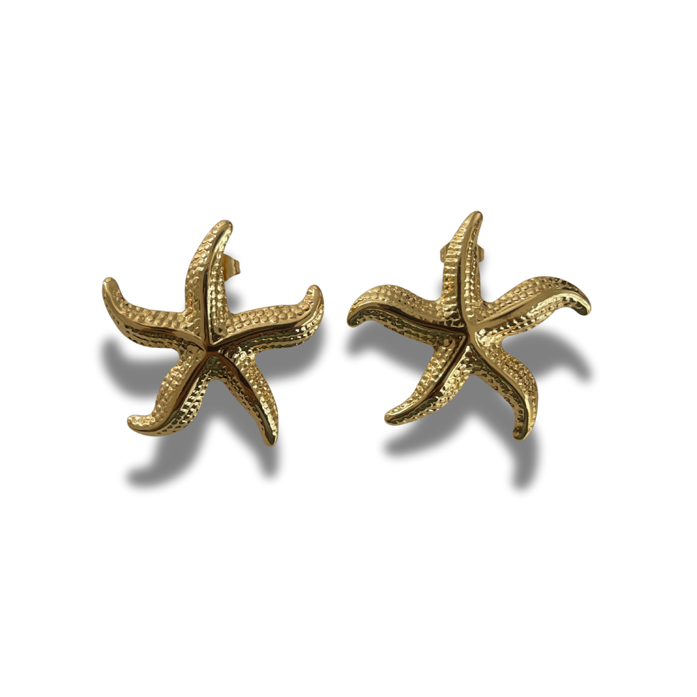 ARETES ESTRELLA DE MAR