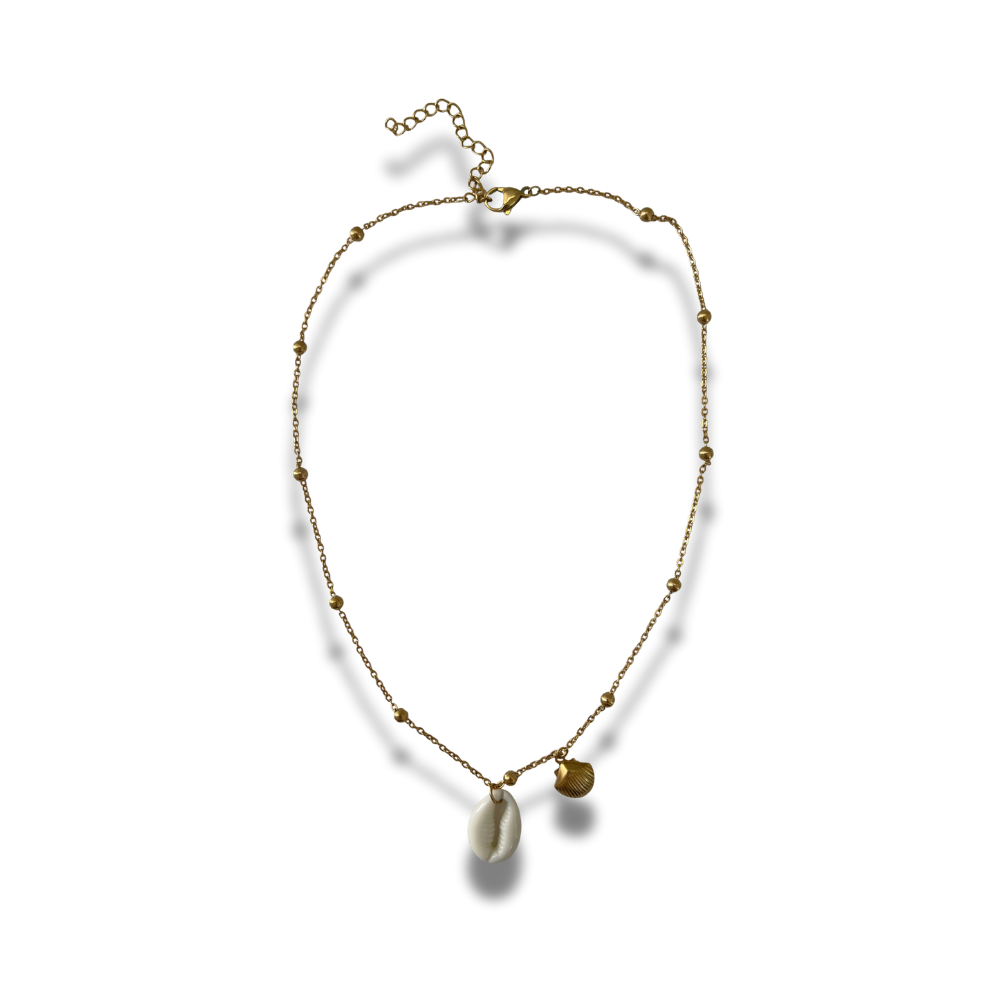 COLLAR CONCHITAS GRANDE Y CHICA