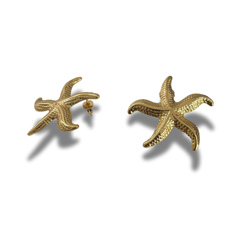 ARETES ESTRELLA DE MAR