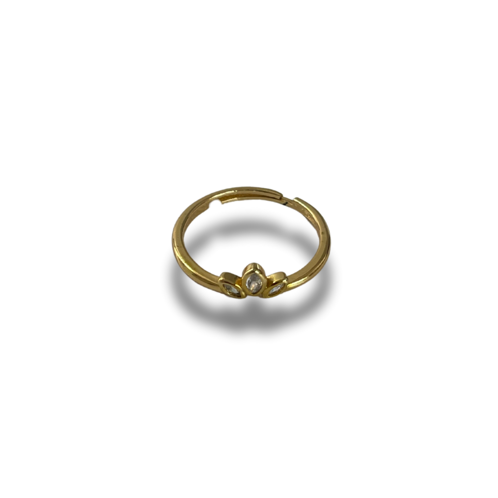 ANILLO CORONITA