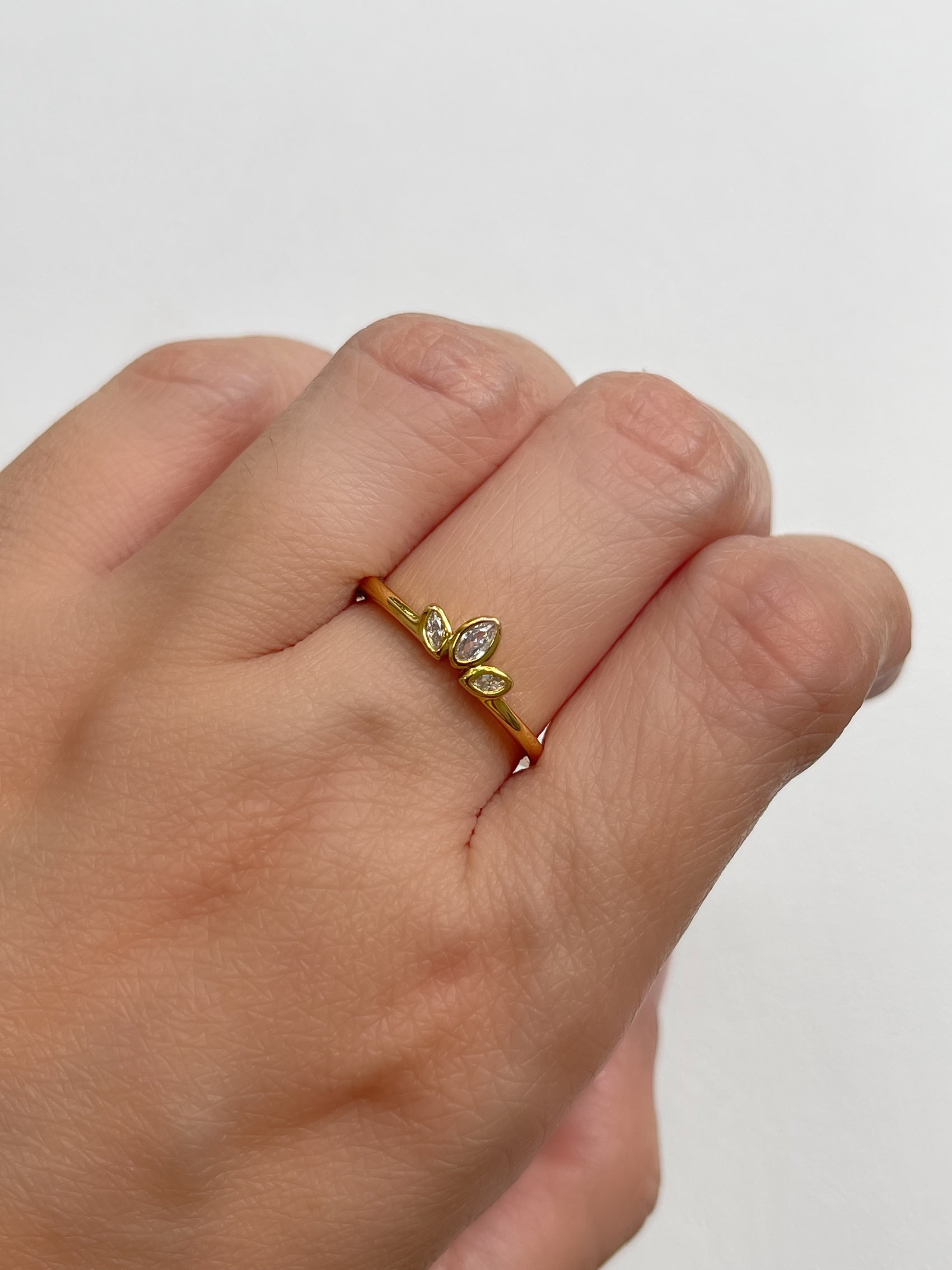 ANILLO CORONITA