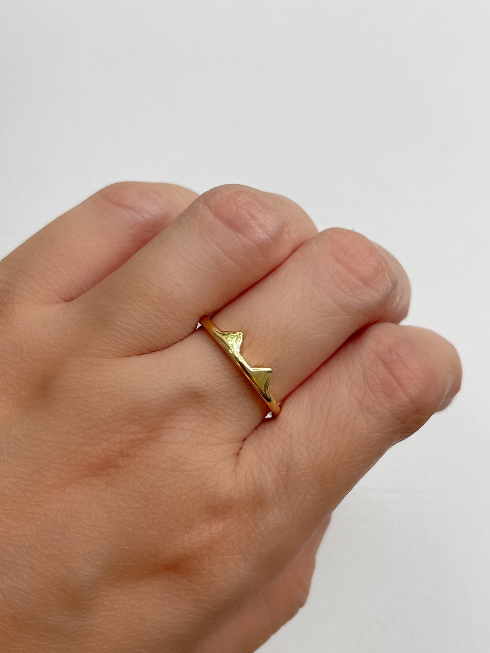 ANILLO GATO