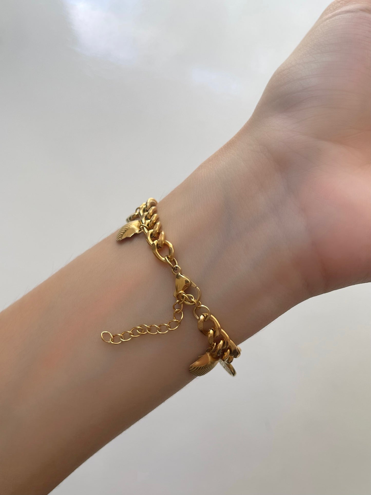 PULSERA CHARMS 1