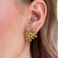 ARETES ESTALLIDO