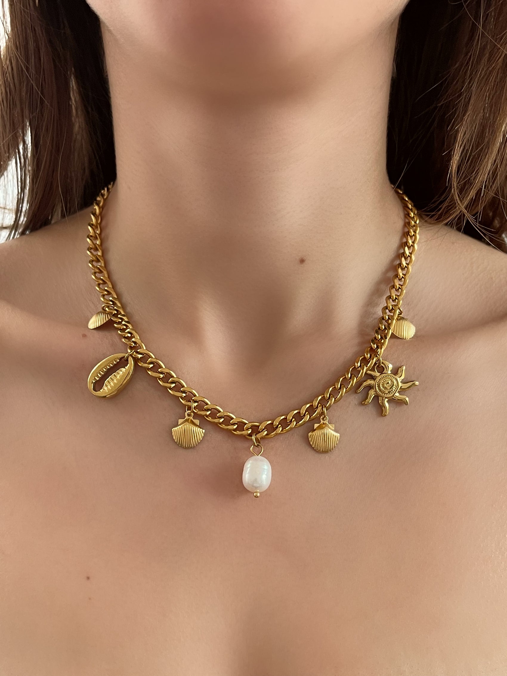 COLLAR CHARMS 2