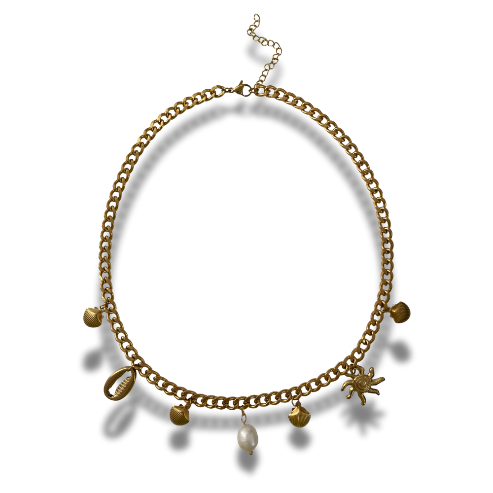 COLLAR CHARMS 2