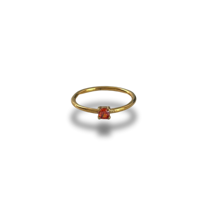ANILLO MES DE NACIMIENTO