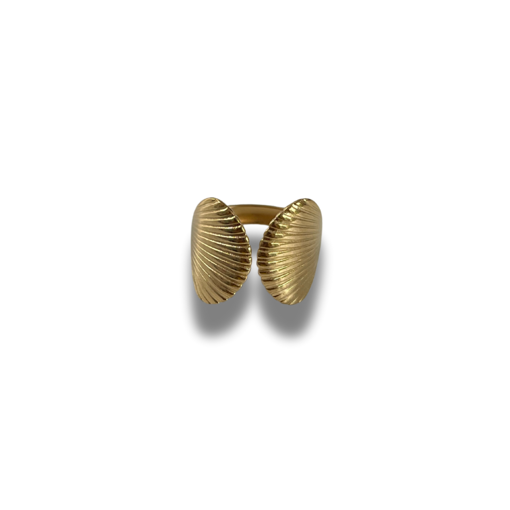 ANILLO CONCHITAS
