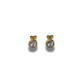 ARETES ZIRCONIA